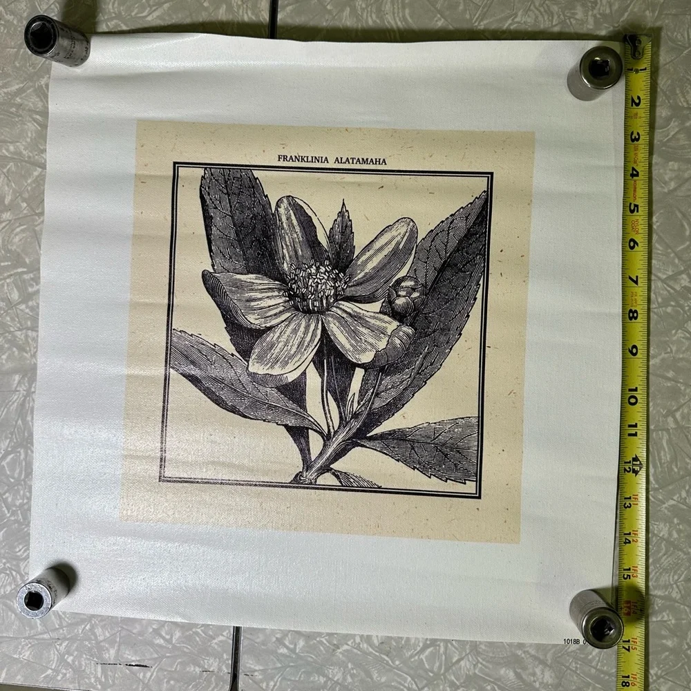 Franklin Tree art print‎ on canvas black and cream botanical craft